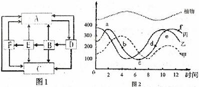 热稳定剂与碱性染料染色的原理探究